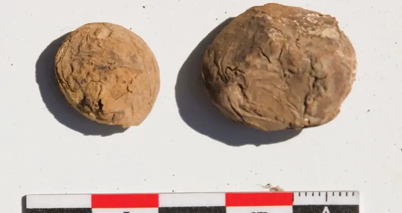 Archaeologists In Peru Just Found Freeze-Dried Potato Snacks Made By The Inca 500 Years Ago