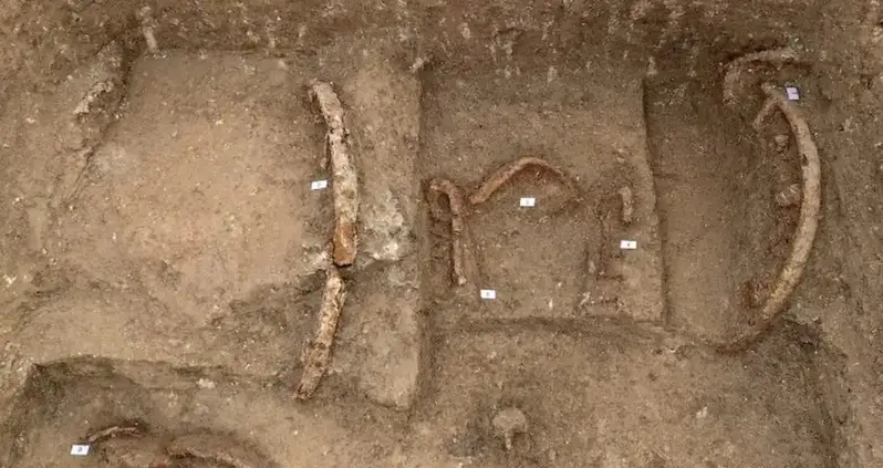 Archaeologists In Italy Just Uncovered The 2,500-Year-Old Tomb Of A Warrior-Prince Who Was Buried With His Chariot