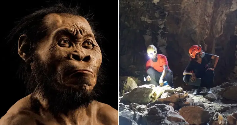 Scientists Just Made A Major Breakthrough About Homo Naledi, But They Can’t Figure Out Why All Of Their Fossils Share One Unlikely Trait