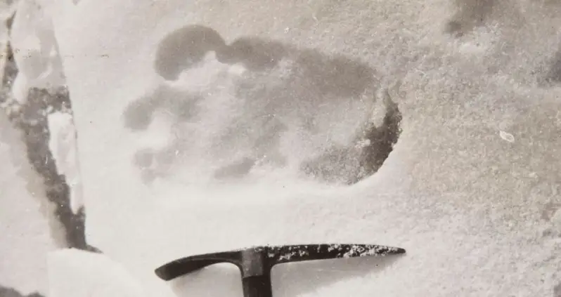 Is The Yeti Real? Inside 7 Reported Sightings Of The Legendary Creature