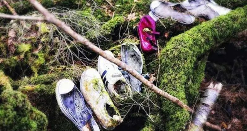 The Creepy Confines Of Aokigahara, Japan’s Suicide Forest