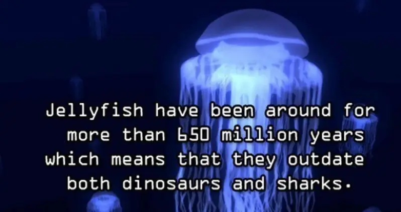 Ten Amazing Facts About Ocean Animals