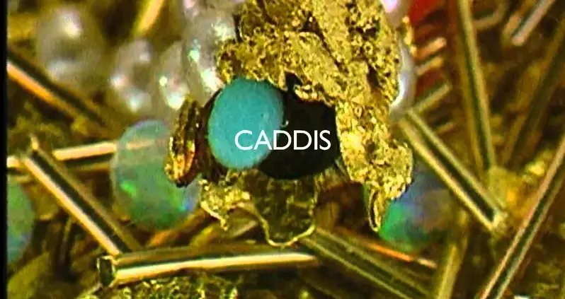 Hubert Duprat’s Incredible Caddis Fly Creations