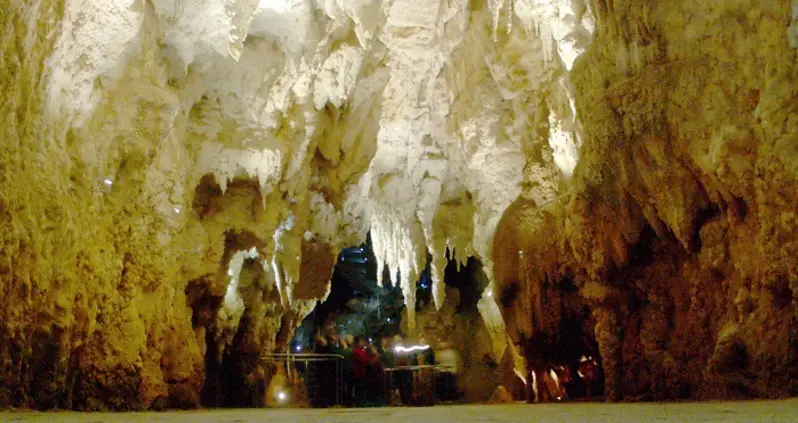 New Zealand’s Iridescent Caves