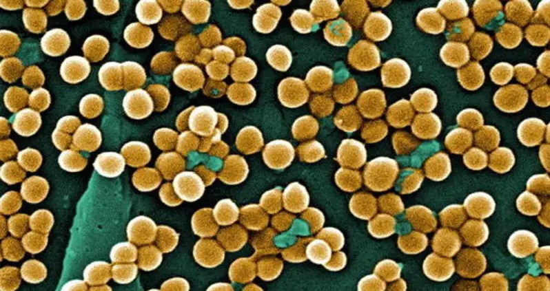 4 Scary Diseases That Are Way More Terrifying Than Ebola