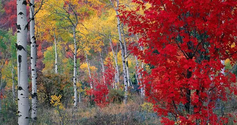 30 Colorful Fall Photos To Get You Excited For The Changing Of Seasons