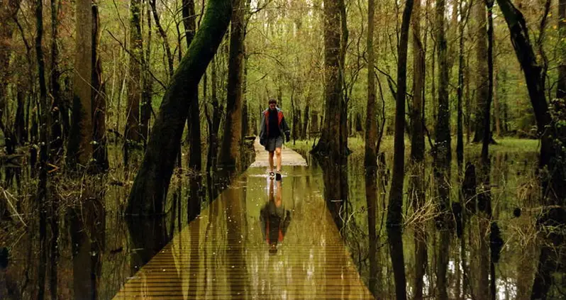 The Coolest National Parks In The United States