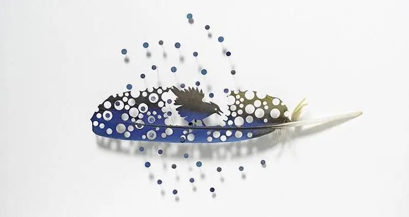 The Incredibly Intricate Feather Art Shadowboxes By Chris Maynard