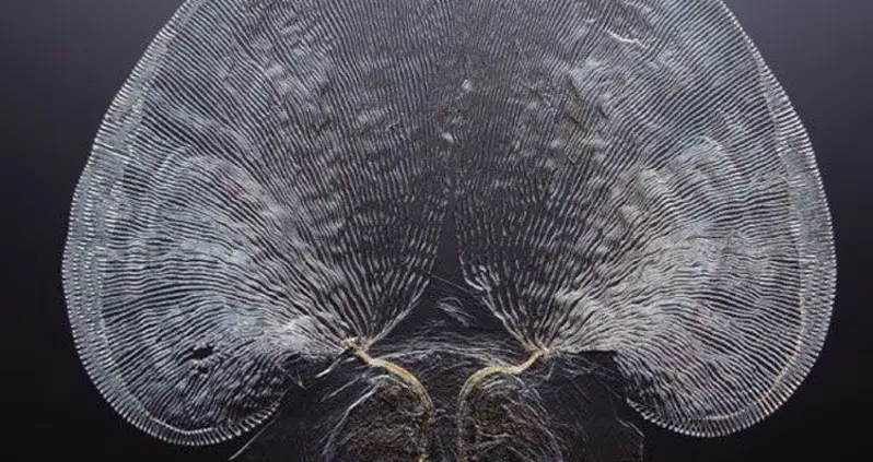 Microscopic Nature: Winners Of The 2014 Olympus Bioscapes Competition