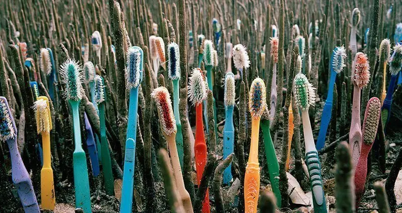 Alejandro Duran Turns Trash Into An Incredible Art Project