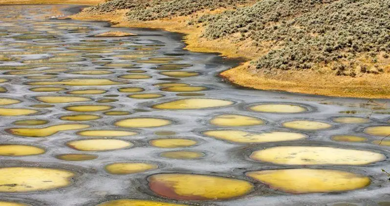 Canada’s Spotted Lake Is Seriously Out Of This World