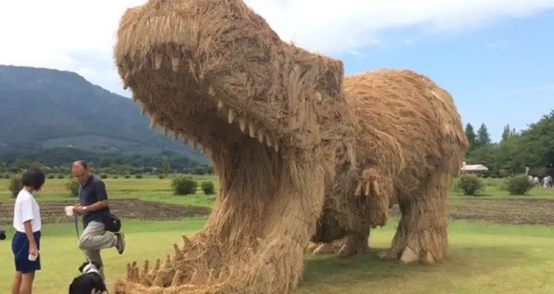 Straw Dinosaurs In A Rice Field? Only In Japan