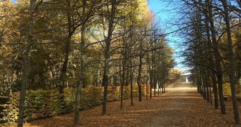 This Is What Spain’s “Versailles”, La Granja De San Ildefonso, Looks Like In Fall