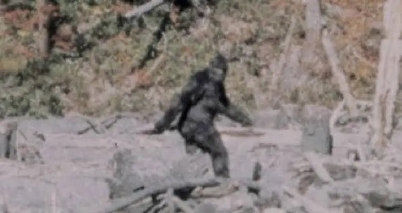 Astounding Bigfoot Facts That Delve Into The Legend Of The Notorious Ape-Man