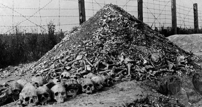 4 Absolutely Devastating Moments From The Nazi Occupation