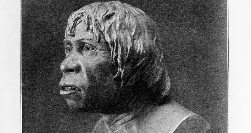 Sherlock Holmes, A Hoax, And The Missing Link Called The Piltdown Man
