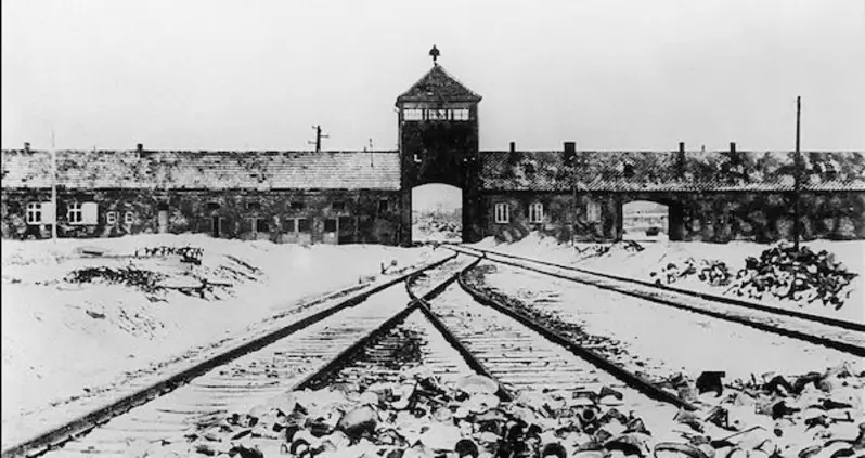 Thousands Of Unknown Nazi “Killing Fields” Uncovered