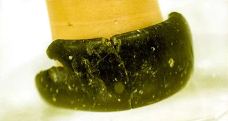 Researchers Find Oldest-Ever Bracelet Alongside Extinct Human Species