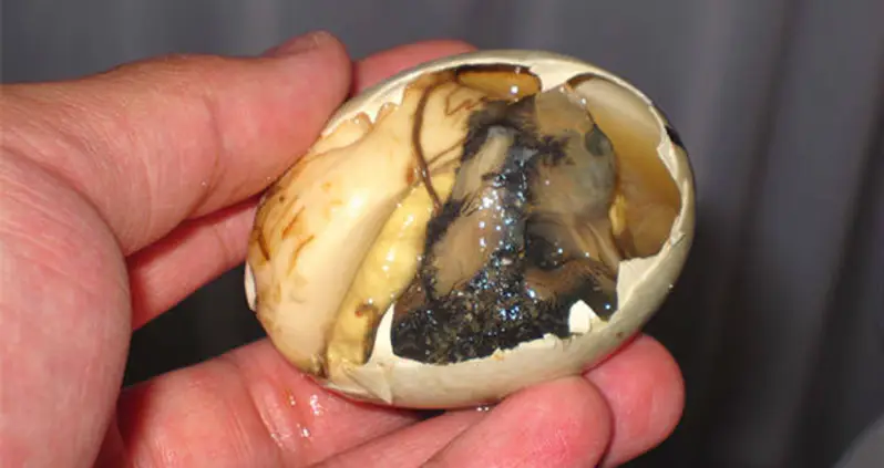 What Is A Balut Egg? The Story Behind The Controversial Street Food From Southeast Asia