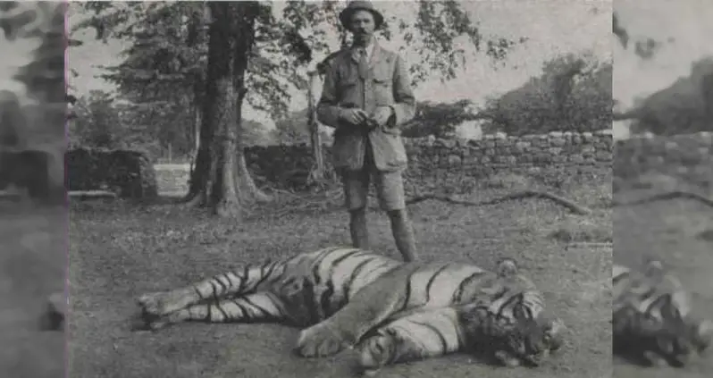 The Champawat Tiger Killed More Than 400 People – Until A Colonel Hunted Her Down