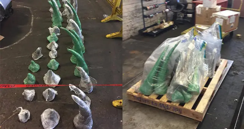 Sniffer Dog Busts 256 Pounds Rhino Horn Haul In South Africa Airport