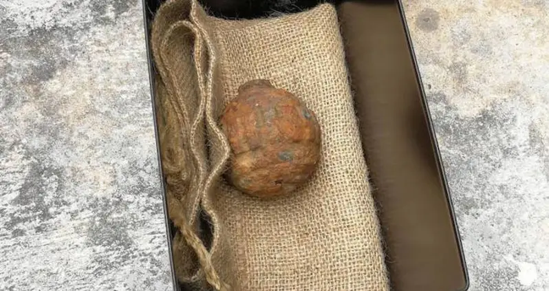 WWI Hand Grenade Mistaken For Potato Found In Chinese Chips Factory