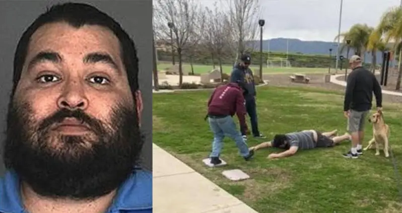 Sex Offender Wrestled By Parents After He Attempted To Kidnap Toddlers At A California Park