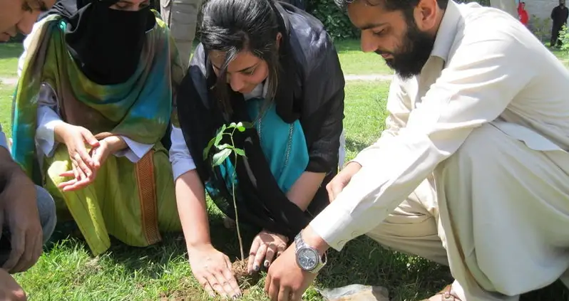 Pakistan Fights Climate Change By Forcing People To Plant Two Trees On Every New Property