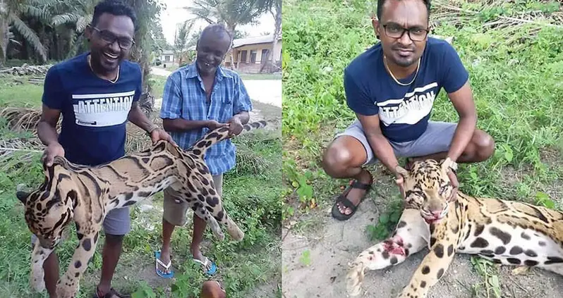 Laughing Poachers Share Photos Of Endangered Leopard They Just Killed