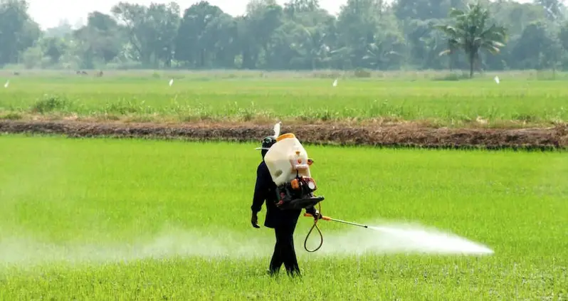 After Moms Criticized Monsanto’s Toxic Pesticides, One Monsanto Exec Vowed To ‘Beat The Sh** Out Of Them’