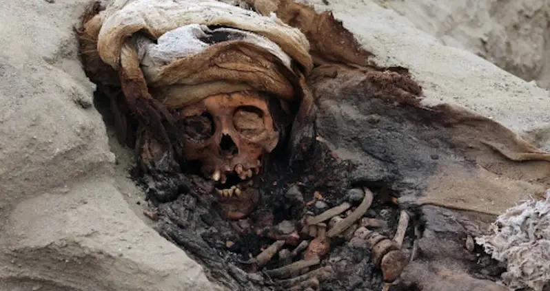 Peruvian Archaeologists Unearth The Single Largest Mass Child Sacrifice Site In The World