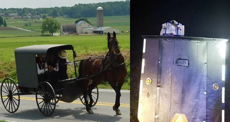 Two Amish Men Caught Drinking And Driving A Horse And Buggy With A Stereo System Flee Local Cops