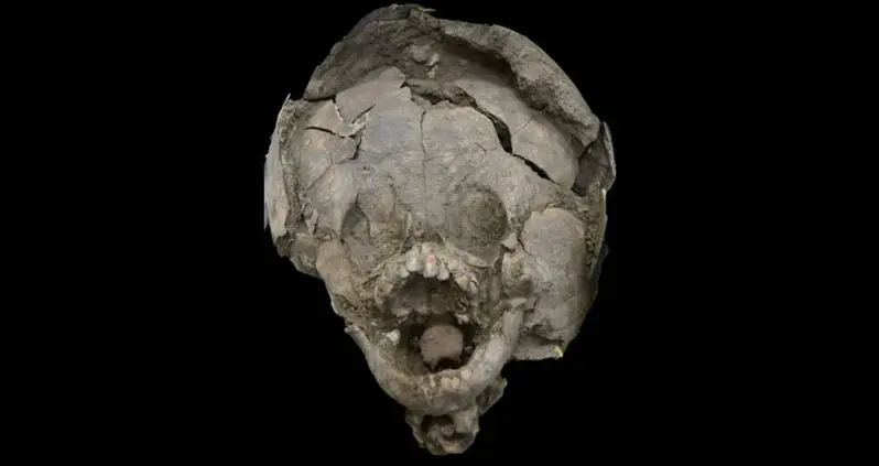 Babies In Ancient Ecuador Were Buried With Helmets Made From Skulls — Of Other Children