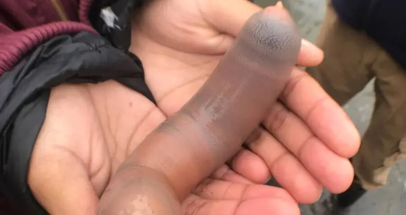 Thousands Of ‘Penis Fish’ Wash Up On California Beach