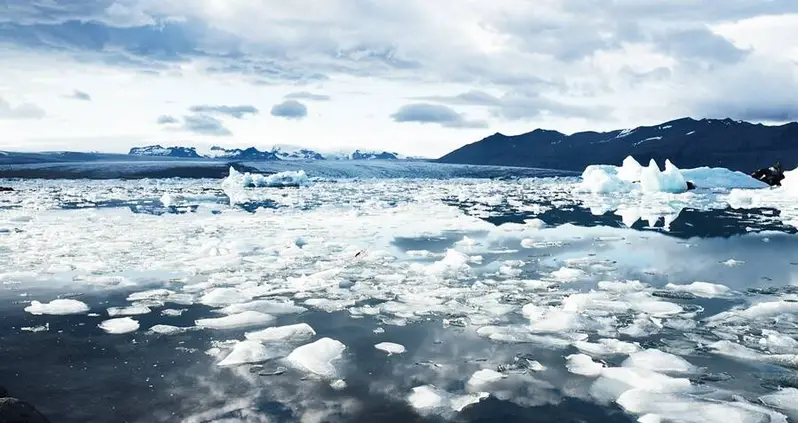 Researchers Just Found Chlamydia In The Deepest Reaches Of The Arctic Ocean