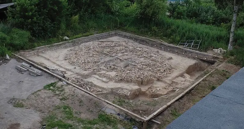 Ice Age Structure Made Of Bones From More Than 60 Mammoths Uncovered In Russia