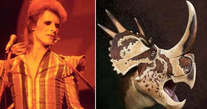 Newly-Discovered Dinosaur Named ‘Star Lizard’ In Honor Of David Bowie