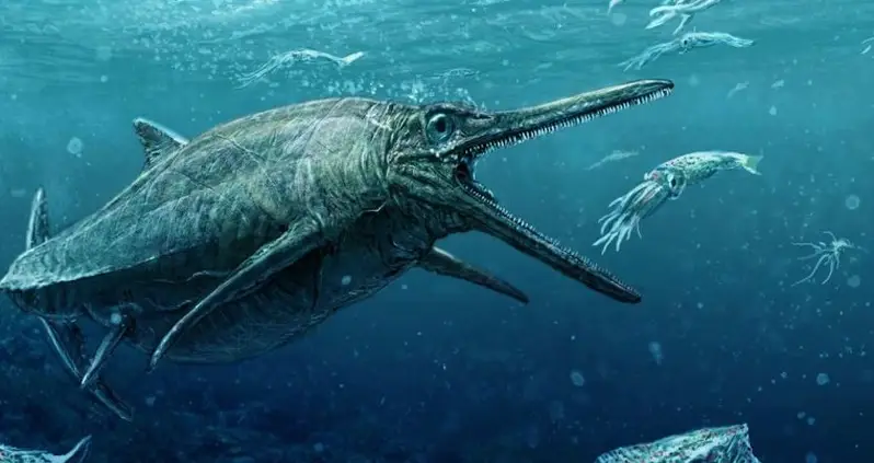 12-Foot Reptile Found In The Stomach Of A 240-Million-Year-Old ‘Megapredator’ Unearthed In China
