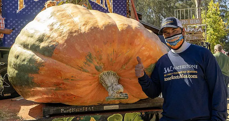 Minnesota Man Wins ‘Super Bowl Of Pumpkins’ With 2,350-Pound Gourd Named ‘Tiger King’