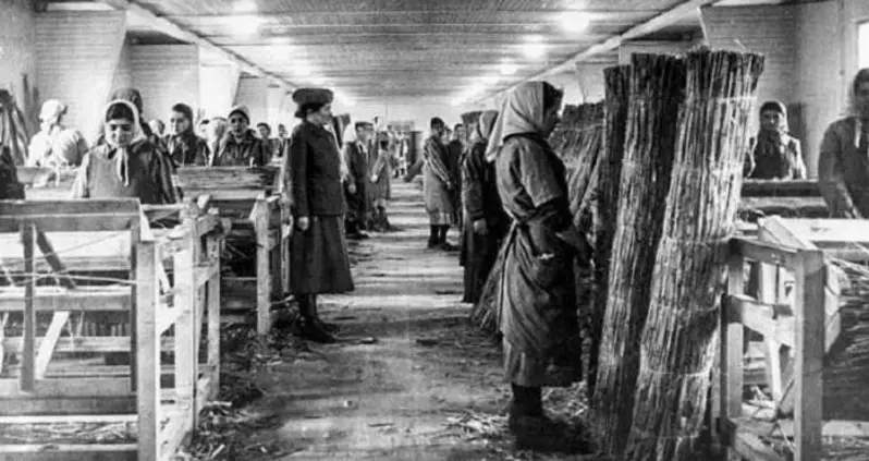 This Week In History News, Nov. 8 – 14