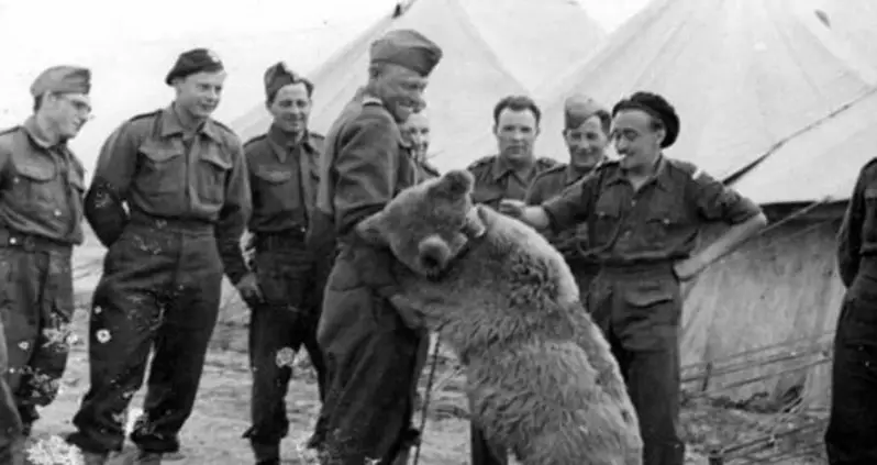 33 Fun History Facts That Prove The Past Is Even More Fascinating Than You Realized