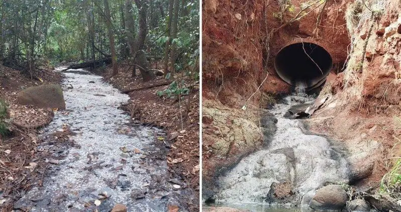 A Hawaiian Hiker Found A Stream Reeking Of Beer — It Turns Out The Water Has An Alcohol Content Of 1.2 Percent