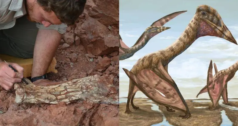 Paleontologists Just Announced The Discovery Of A Terrifying Pterosaur Species They’re Calling The ‘Dragon Of Death’
