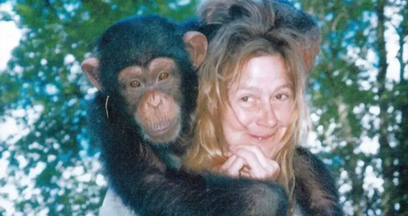 Inside Travis The Chimp’s Gruesome Attack That Left A Woman Without A Face