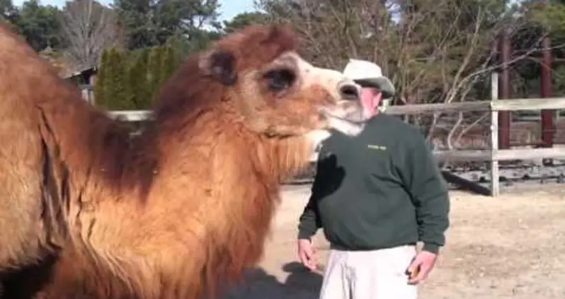 Amazing Animals With Sixth Sense