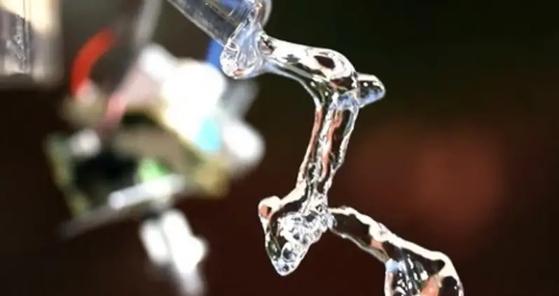 What We Love This Week, Volume IV