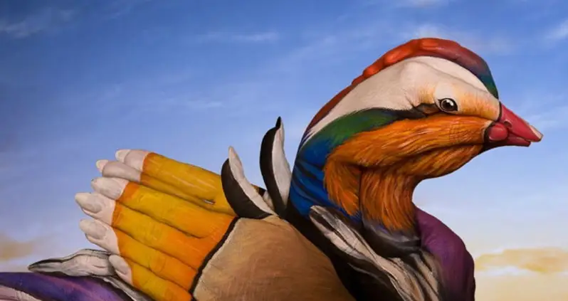 What We Love This Week, Volume XI