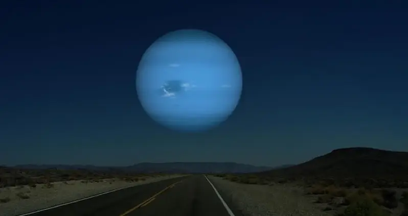 What We Love This Week, Volume VII