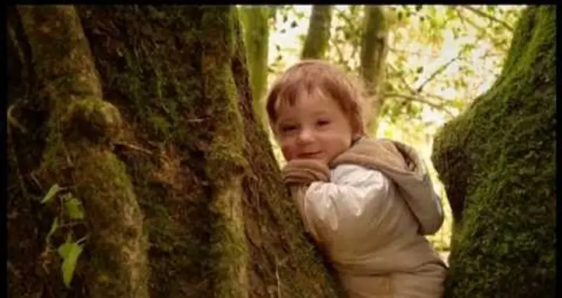 The Eco-Friendly Hobbit House Of Wales
