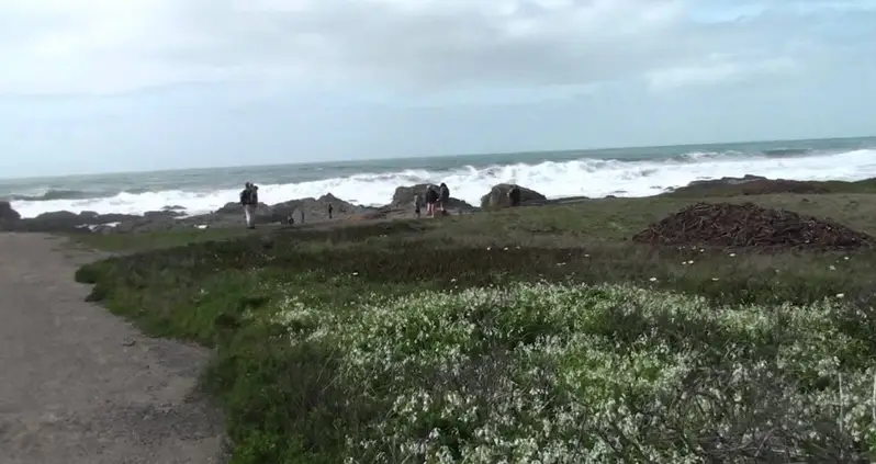 Glass Beach’s Bejeweled Shores